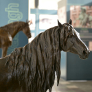 XXXVII. Óvári Tudományos Napok megnyitó