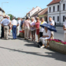 Táblaavató Mosonban (Fotó: Stipkovits Veronika)