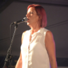 VÁROSKÖZPONTIAK NAPJA 2016, 1 nap (Fotó: Bánhegyi István)