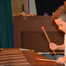 DOBszerda (Fotó: Bánhegyi István)