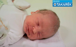 Kuzmics Ákos, Kimle