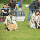 CAC kutyakiállítás (Fotó: Nagy Mária)