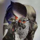 Vizsy Ferenc 3. könyvének bemutatója: Drakula Kastélyában - Meghökkentő felnőttmesék (fotó: Horváth Attila)