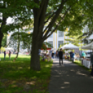 VI. Mosonmagyaróvári Veteránjármű Találkozó