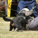 4. Kéklámpás Nap (Fotó: Horváth Attila)