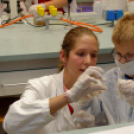 Kutatók éjszakája 2014 Nyugat-magyarországi Egyetem (Fotó: Horváth Attila)