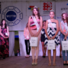 Szigetköz ízei, vármegye borai fesztivál / VÁRMEGYE SZÉPE - VÁRMEGYE HANGJA (Fotó: Horváth Attila)