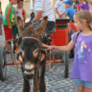 KULT - UTCA Hobbi nap (Fotó: Nagy Mária)