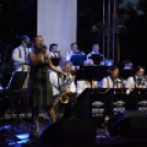 Tiszta Amerika - Vár-tó party