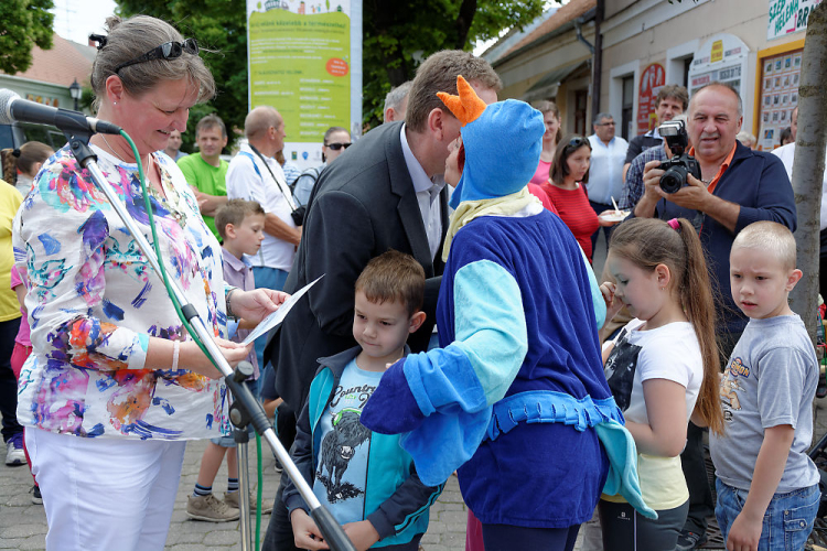Apró kezek, csodakertek kertépítő verseny (Fotó: Horváth Attila)