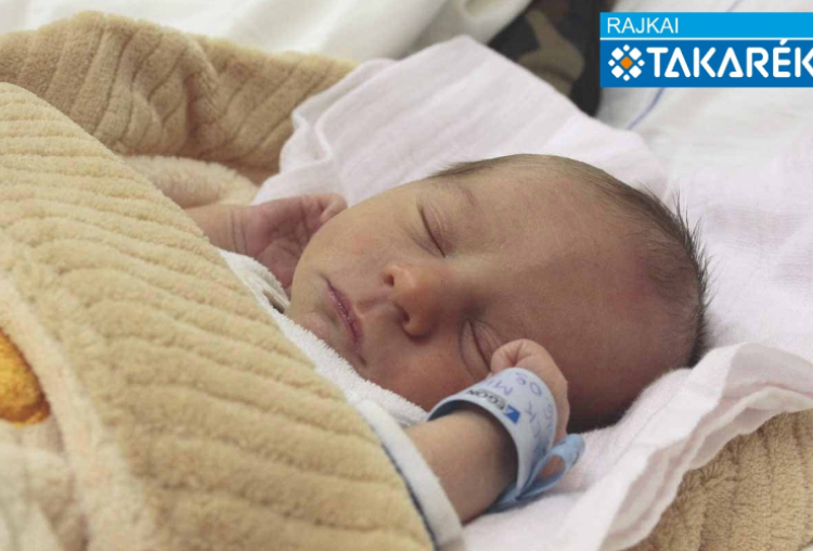 Elek Milán, Mosonmagyaróvár