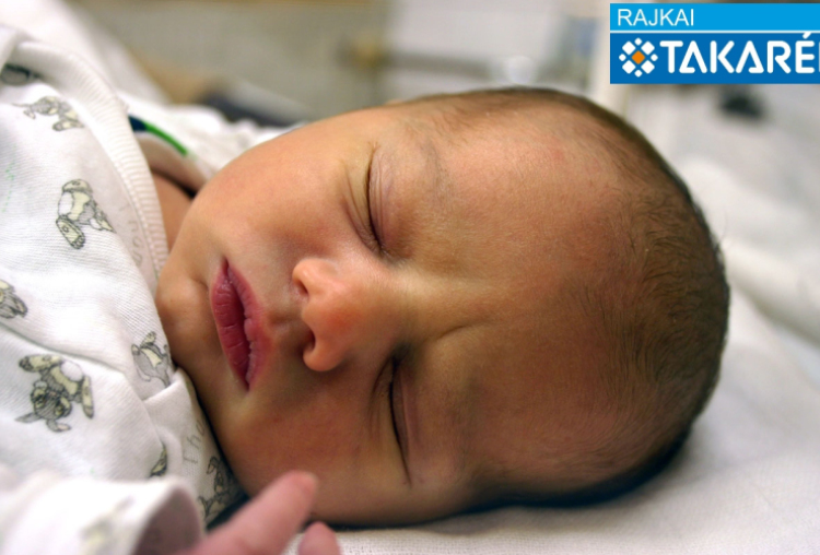 Donáth Lóránt, Mosonmagyaróvár