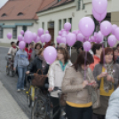 Egészség Hídja Összefogás - Lajtahidi séta