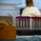 Tűzoltóság nyílt nap - Véradás (Fotó: Nagy Mária)