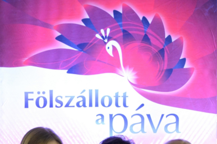 Fölszállott a páva 2016 döntő