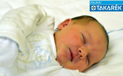 Halász  Karola, Mosonmagyaróvár