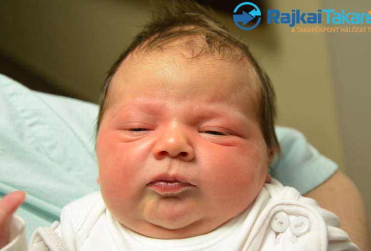 Félix Hanna, 3910 gr. Máriakálnok