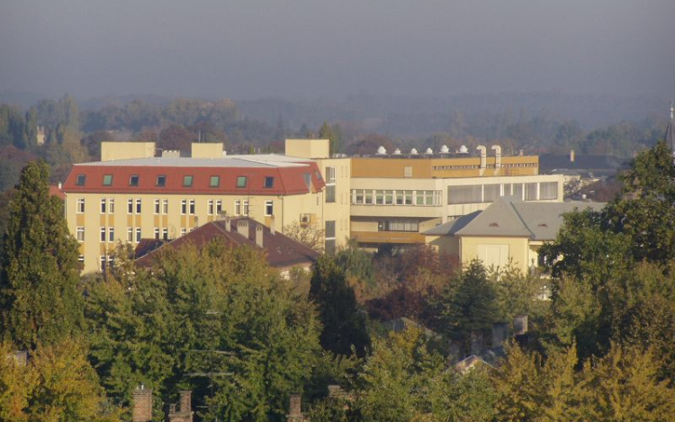 Feljelentés egy beteg halála miatt