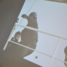 Kristóf Veronika előadása a Bálnák megmentéséről (Fotó: Nagy Mária)