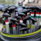 Voluta 2 nap (Fotó: Stipkovits Veronika és Bánhegyi István)