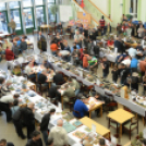 Makett Kiállítás Mosonmagyaróvár