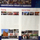 Dan Hrvata, Horvát Nap