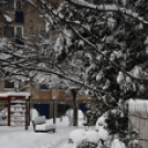 Mosonmagyaróvár Havazás után (Fotó: Nagy Mária)