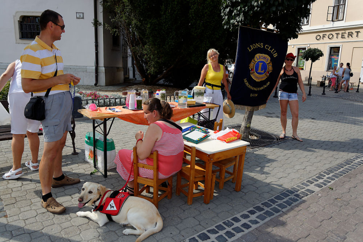 Kult-Utca - Napkeleti Délután (Fotó: Horváth Attila)