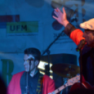 Szigetköz Ízei, Vármegye borai Fesztivál (péntek) (Fotó: Horváth Attila)