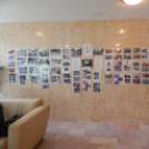 Elfogadás Napja 2014