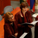 XVI. Mosonmagyaróvári Civil Nap (Fotó: Horváth Attila)