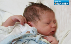 Pöthe Péter, Mosonmagyaróvár