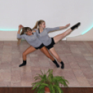 XIX. Mosonmagyaróvári Civil Nap 