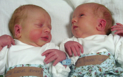 Sasvári Norbert és Kornél-2660-3240-Móvá