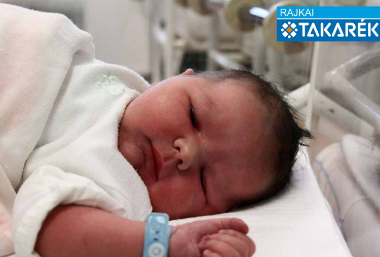 Czinczár Bence István, Mosonmagyaróvár