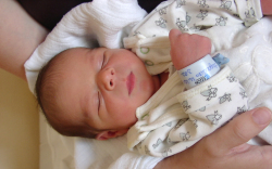 Jagadics Milán-Mosonszentmiklós