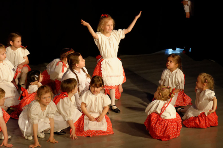 Jótékonysági műsor - Fehér és Máltai Szeretetszolgálat az Éltes iskola javára (Fotó: Horváth Attila)