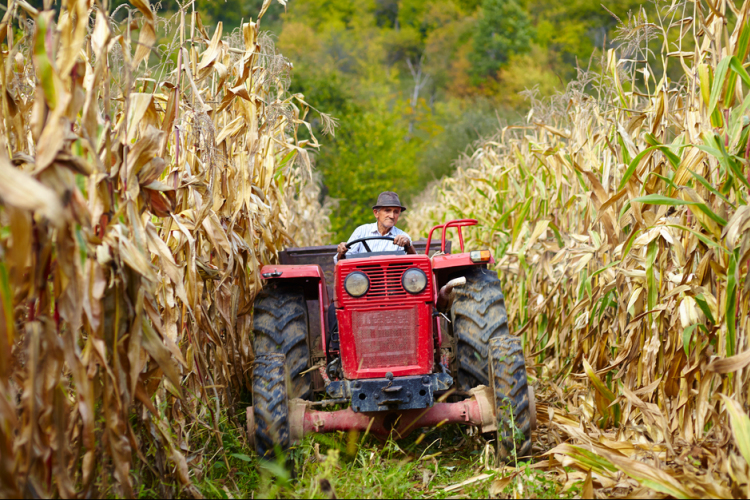 Agrárkamara: módosult a pótbevallás és a tagdíjbefizetés határideje