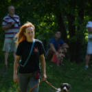 VÁROSKÖZPONTIAK NAPJA 2016, 2 nap (Fotó: Bánhegyi István)