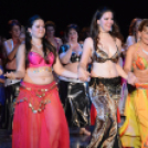 X. Jubileumi Hastánc Gála (Fotó: Bánhegyi István)