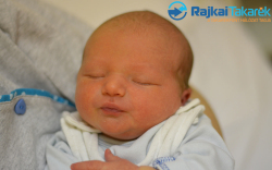 Élő Bálint, 3290 gr. Csorna