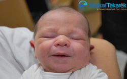 Takáts Ádám, 4240 gr. Hédervár