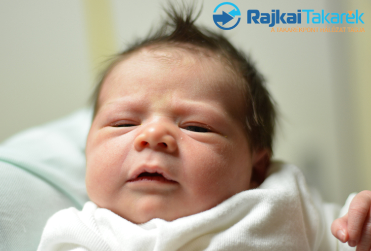 Németh Mia, Dunasziget