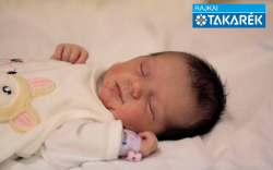 Badár Rebeka, Lébény