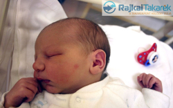 Csiszár Barnabás, Kapuvár