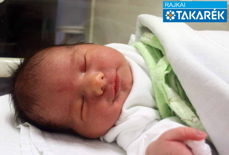 Tóth Péter Jenő, Kimle