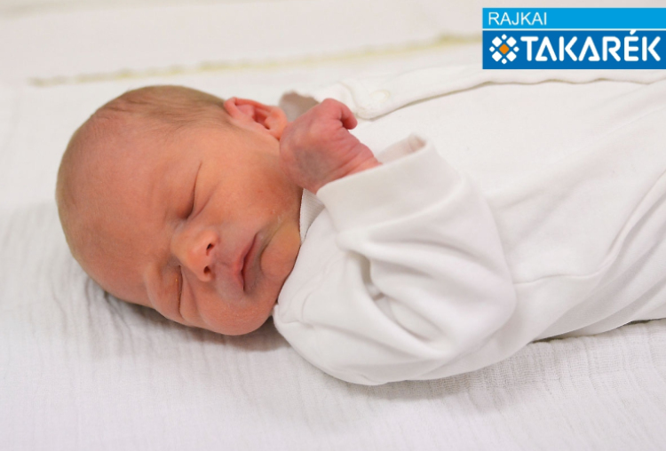 Artner Ármin, Hédervár