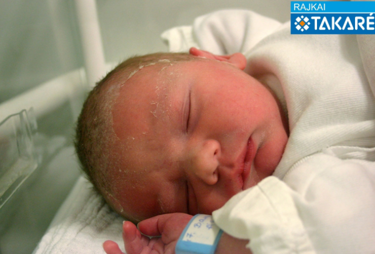 Baracskai Ábel, Sobor