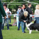 CAC kutyakiállítás (Fotó: Nagy Mária)