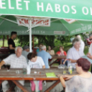 Civil Nap Mosonmagyaróváron